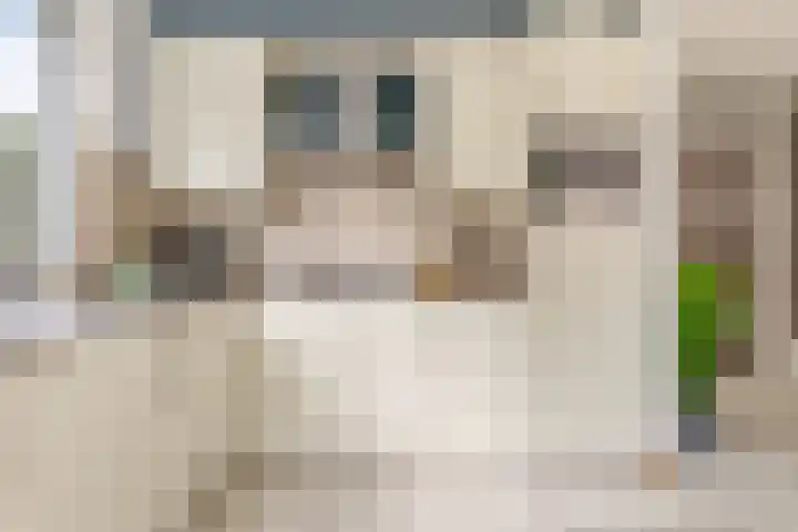 Commandeursborch 26 Houten thumbnail 20