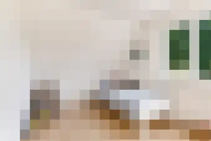 Commandeursborch 26 Houten thumbnail 22