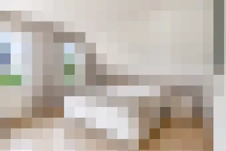 Commandeursborch 26 Houten thumbnail 25