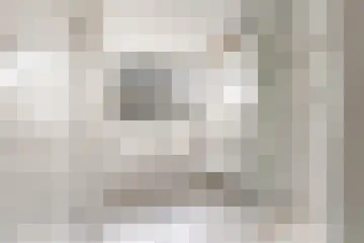 Commandeursborch 26 Houten thumbnail 27