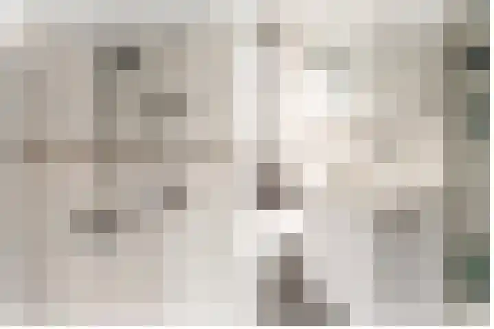 Commandeursborch 26 Houten thumbnail 28