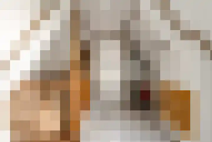 Commandeursborch 26 Houten thumbnail 29