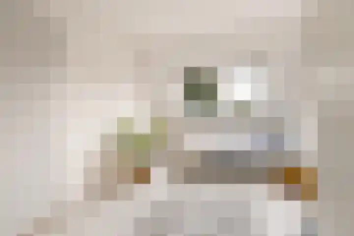 Commandeursborch 26 Houten thumbnail 30