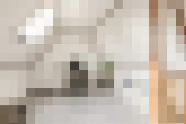 Commandeursborch 26 Houten thumbnail 31