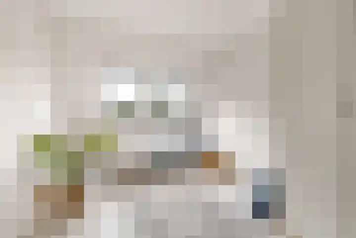 Commandeursborch 26 Houten thumbnail 32