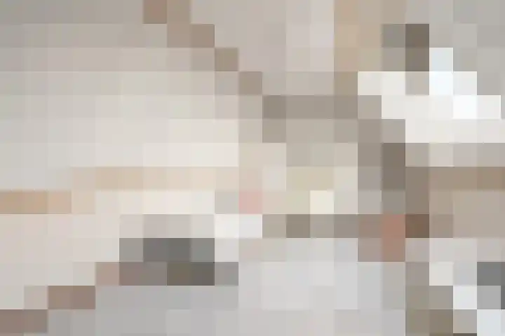 Commandeursborch 26 Houten thumbnail 33