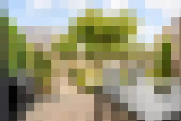 Commandeursborch 26 Houten thumbnail 36