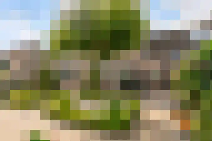 Commandeursborch 26 Houten thumbnail 37