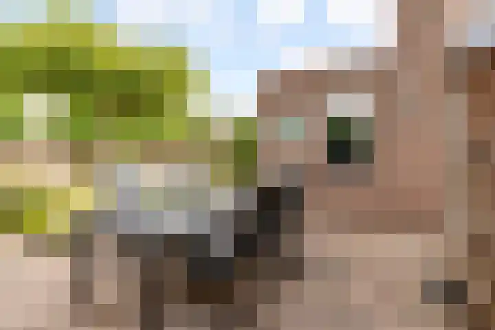 Commandeursborch 26 Houten thumbnail 39