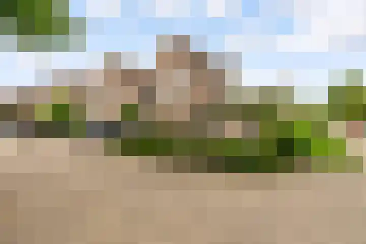 Commandeursborch 26 Houten thumbnail 4