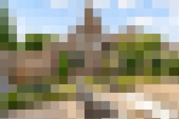 Commandeursborch 26 Houten thumbnail 40