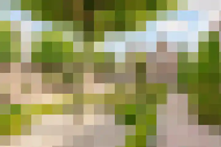 Commandeursborch 26 Houten thumbnail 41