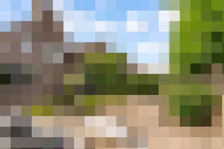 Commandeursborch 26 Houten thumbnail 42