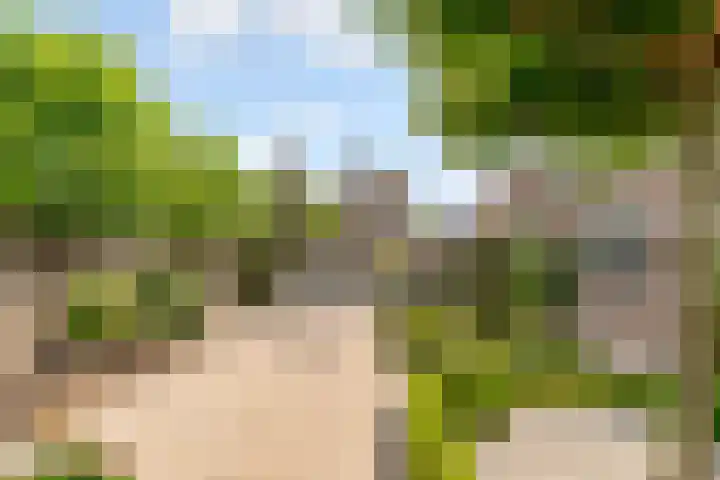 Commandeursborch 26 Houten thumbnail 43