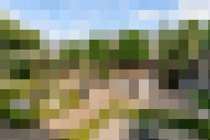 Commandeursborch 26 Houten thumbnail 44