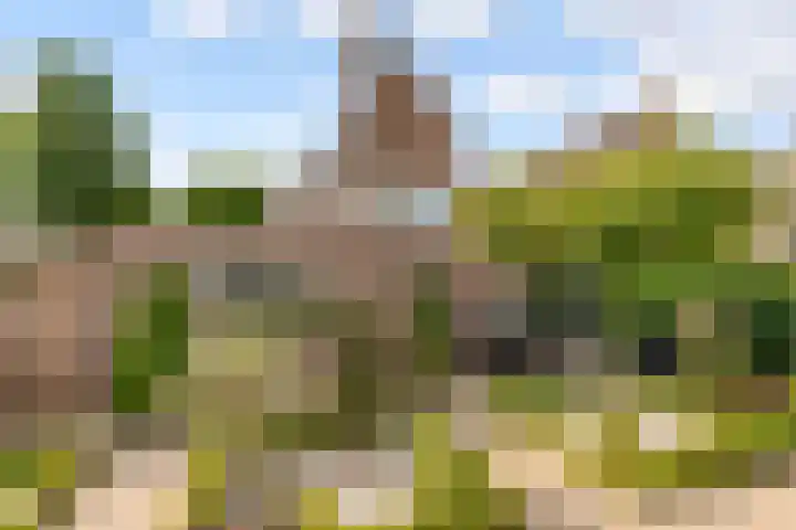 Commandeursborch 26 Houten thumbnail 45