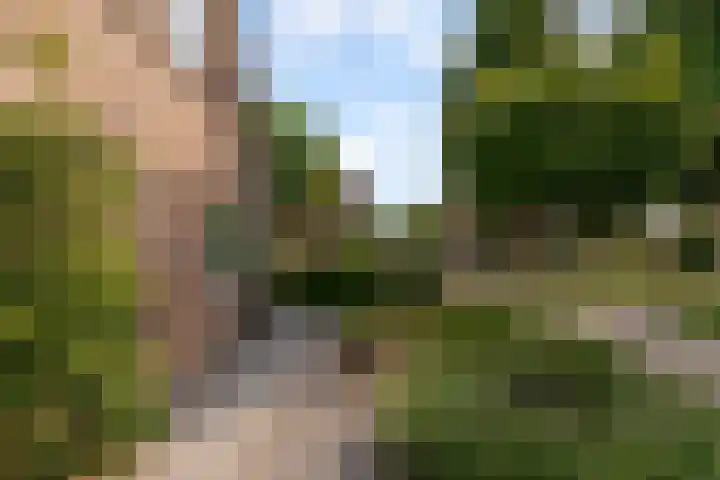 Commandeursborch 26 Houten thumbnail 47