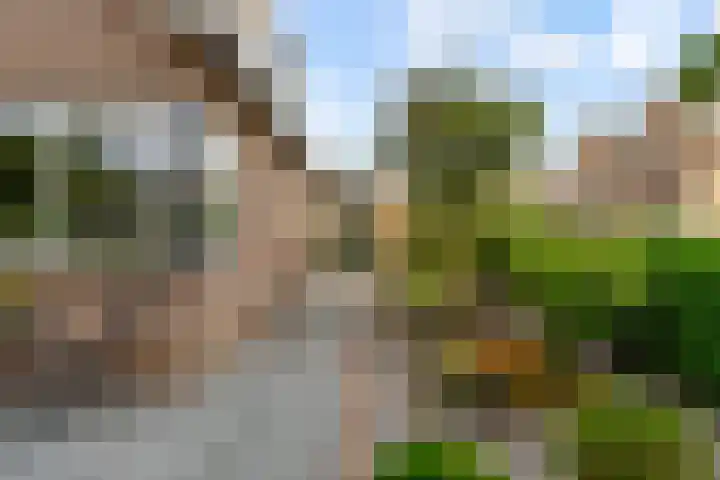 Commandeursborch 26 Houten thumbnail 48
