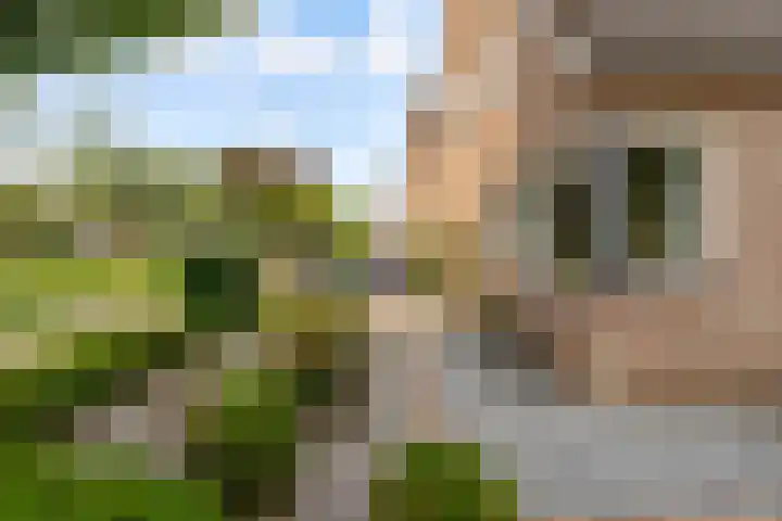 Commandeursborch 26 Houten thumbnail 49