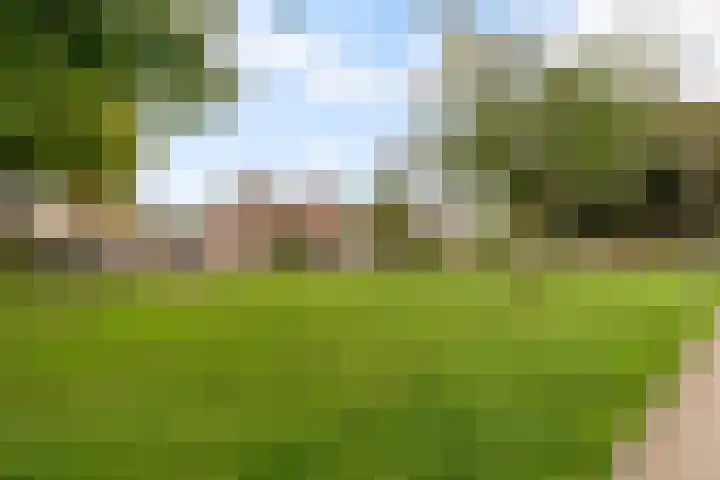 Commandeursborch 26 Houten thumbnail 53