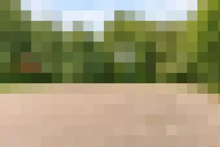 Commandeursborch 26 Houten thumbnail 54