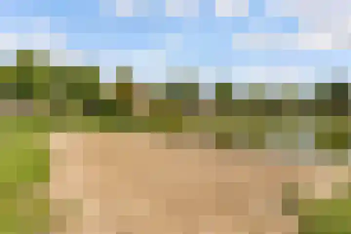 Commandeursborch 26 Houten thumbnail 55