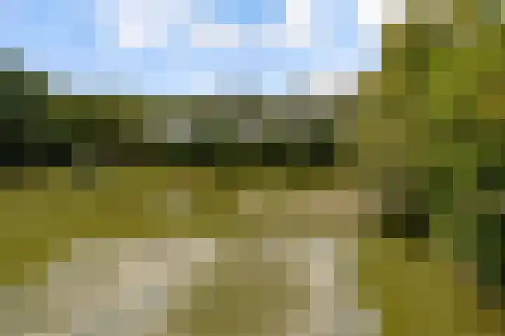 Commandeursborch 26 Houten thumbnail 56