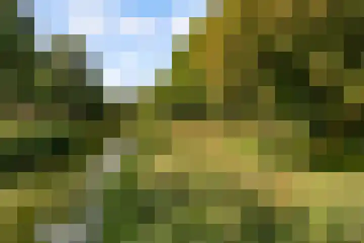 Commandeursborch 26 Houten thumbnail 57