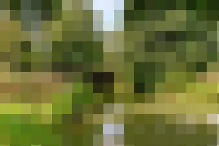 Commandeursborch 26 Houten thumbnail 58