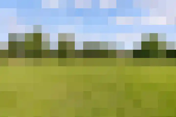 Commandeursborch 26 Houten thumbnail 59