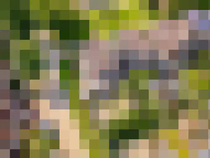 Commandeursborch 26 Houten thumbnail 60