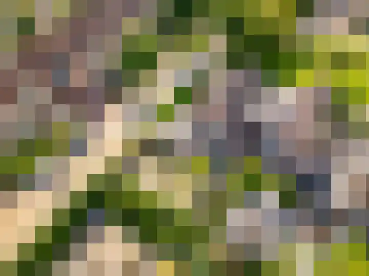 Commandeursborch 26 Houten thumbnail 61