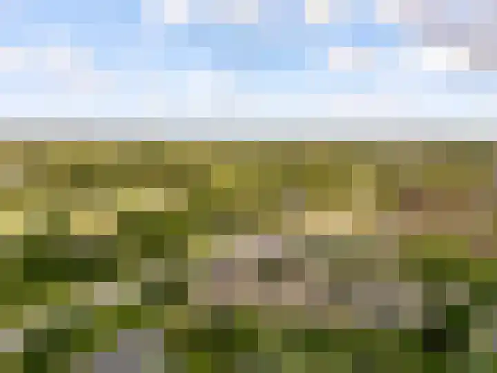 Commandeursborch 26 Houten thumbnail 62