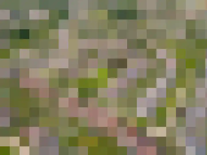 Commandeursborch 26 Houten thumbnail 63