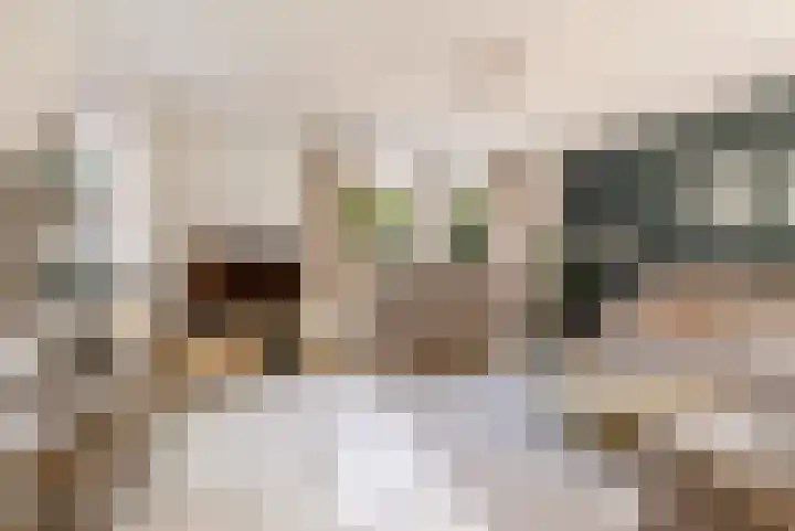 Commandeursborch 26 Houten thumbnail 8