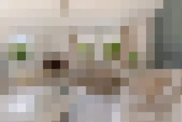 Commandeursborch 26 Houten thumbnail 9