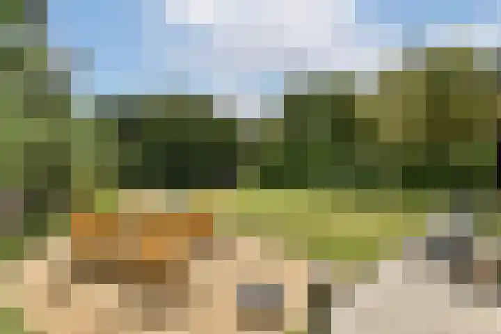 Commandeurshof 1 Maasland thumbnail 15