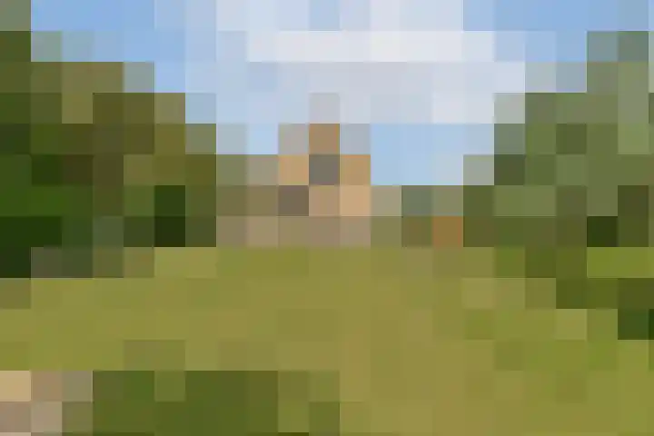 Commandeurshof 1 Maasland thumbnail 16