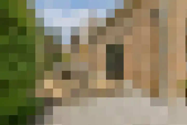 Commandeurshof 1 Maasland thumbnail 17