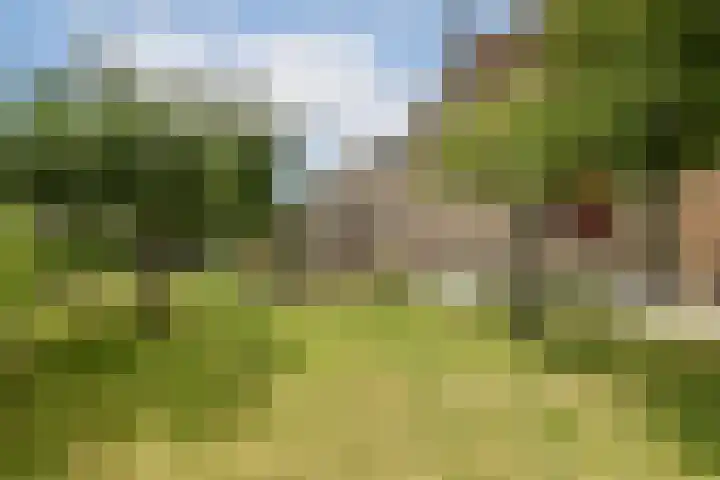 Commandeurshof 1 Maasland thumbnail 18