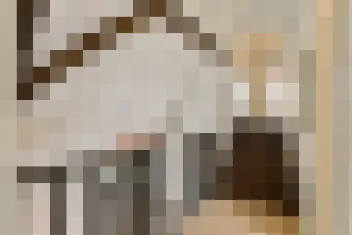 Commandeurshof 1 Maasland thumbnail 21
