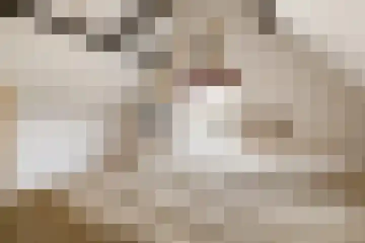 Commandeurshof 1 Maasland thumbnail 22