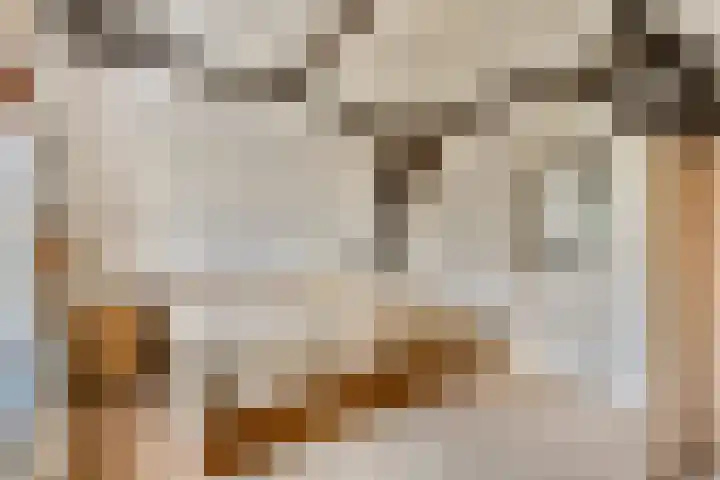 Commandeurshof 1 Maasland thumbnail 23