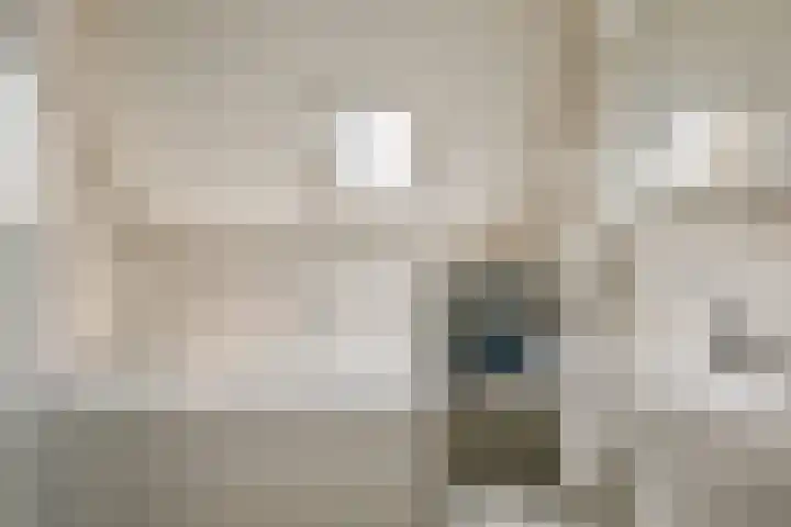 Commandeurshof 1 Maasland thumbnail 24