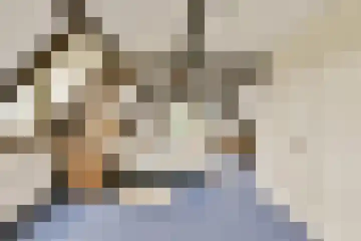 Commandeurshof 1 Maasland thumbnail 26