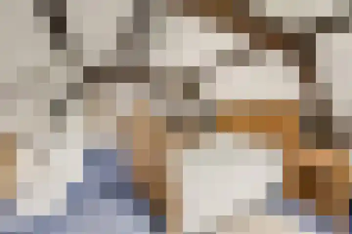 Commandeurshof 1 Maasland thumbnail 27