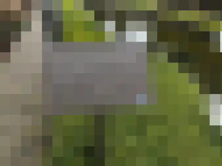 Commandeurshof 1 Maasland thumbnail 30