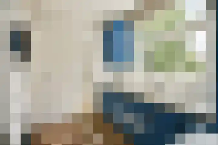 Commandeurshof 1 Maasland thumbnail 37