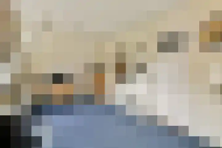 Commandeurshof 1 Maasland thumbnail 39