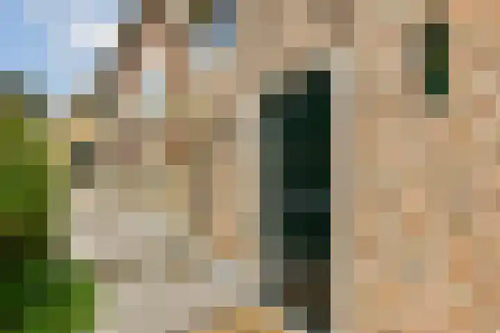 Commandeurshof 1 Maasland thumbnail 4